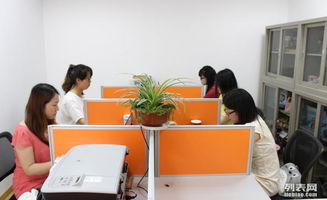 软硬件开发职场生存法则 从技能精进到职业发展的全面指南